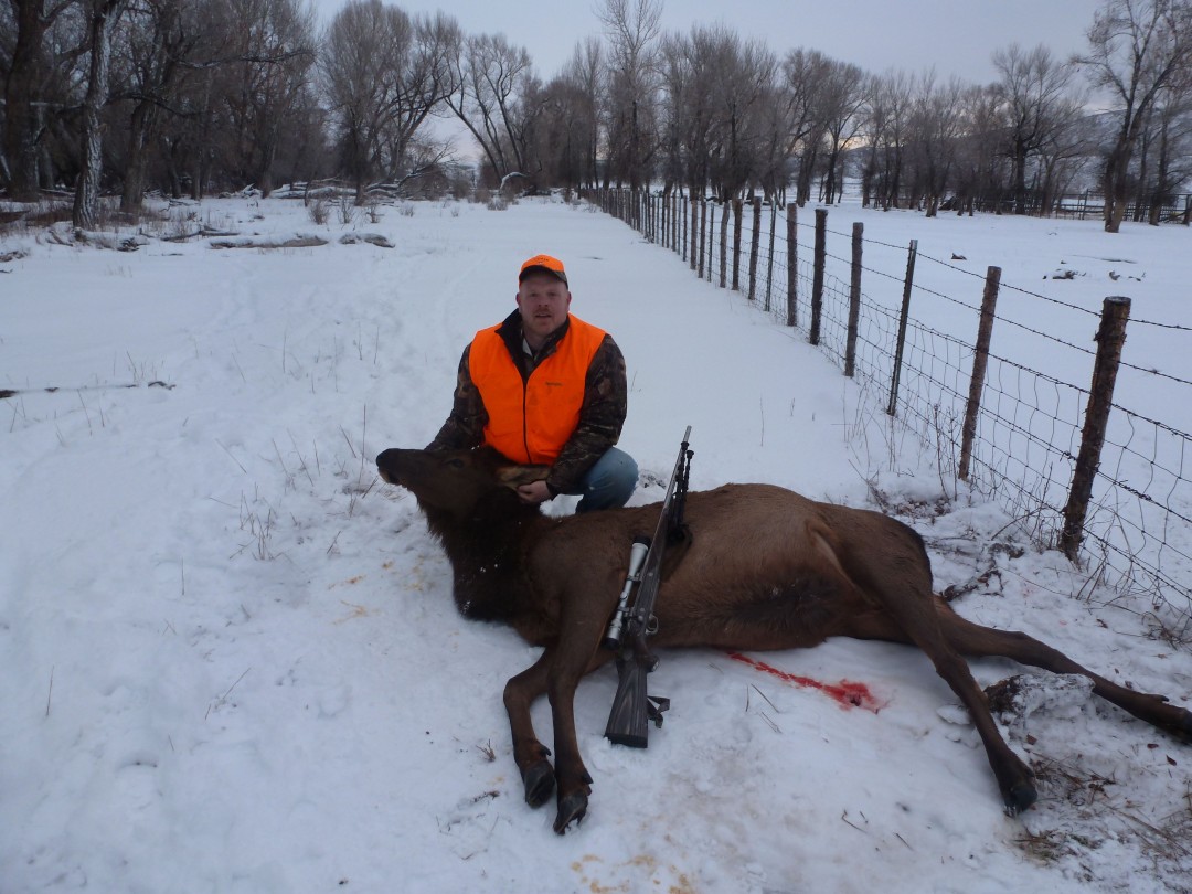 Mule Deer Specialists - Hunt Northwest Colorado for Mule Deer, Elk, and